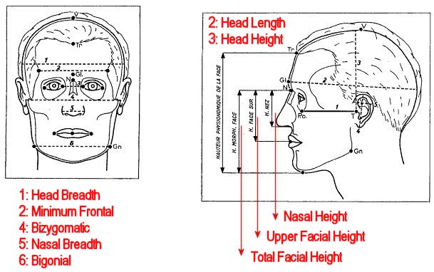 Midface ratio